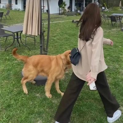 当旺爸爸粤语