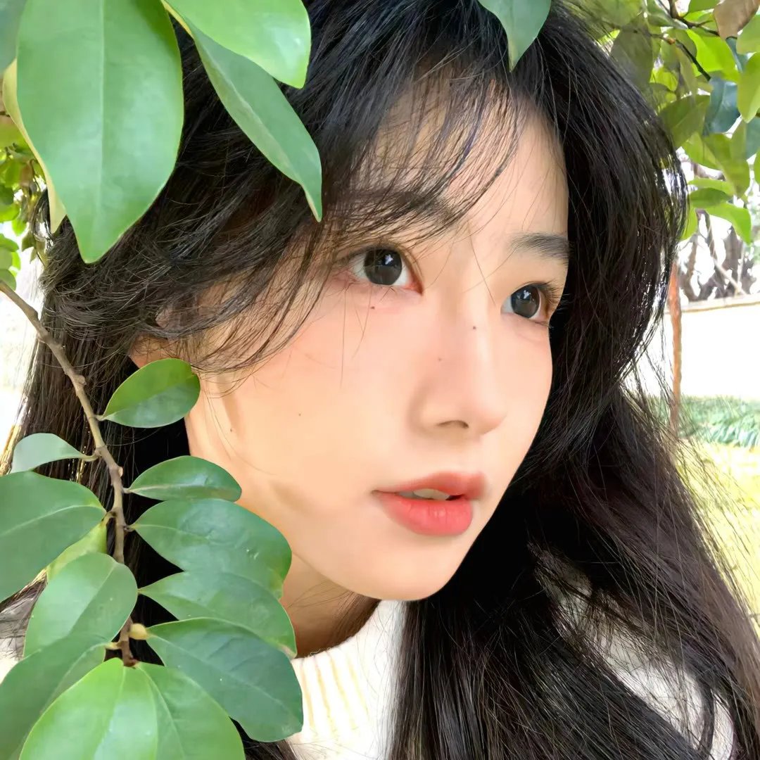请把生命交给我